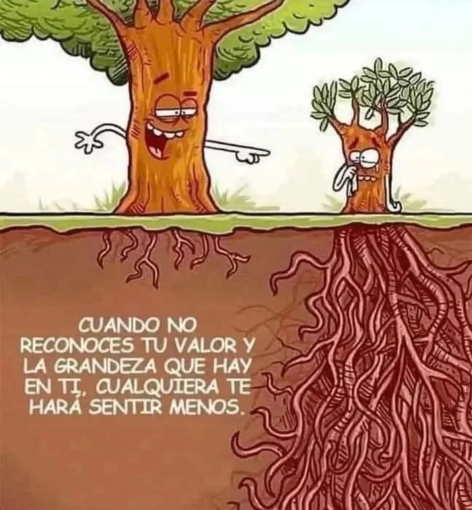 Jorge10176644's tweet photo. DLBM https://t.co/lf3qqMKHhV