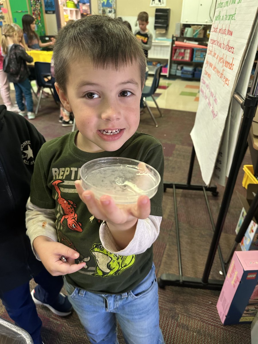 @ErbSTEAM tweet media