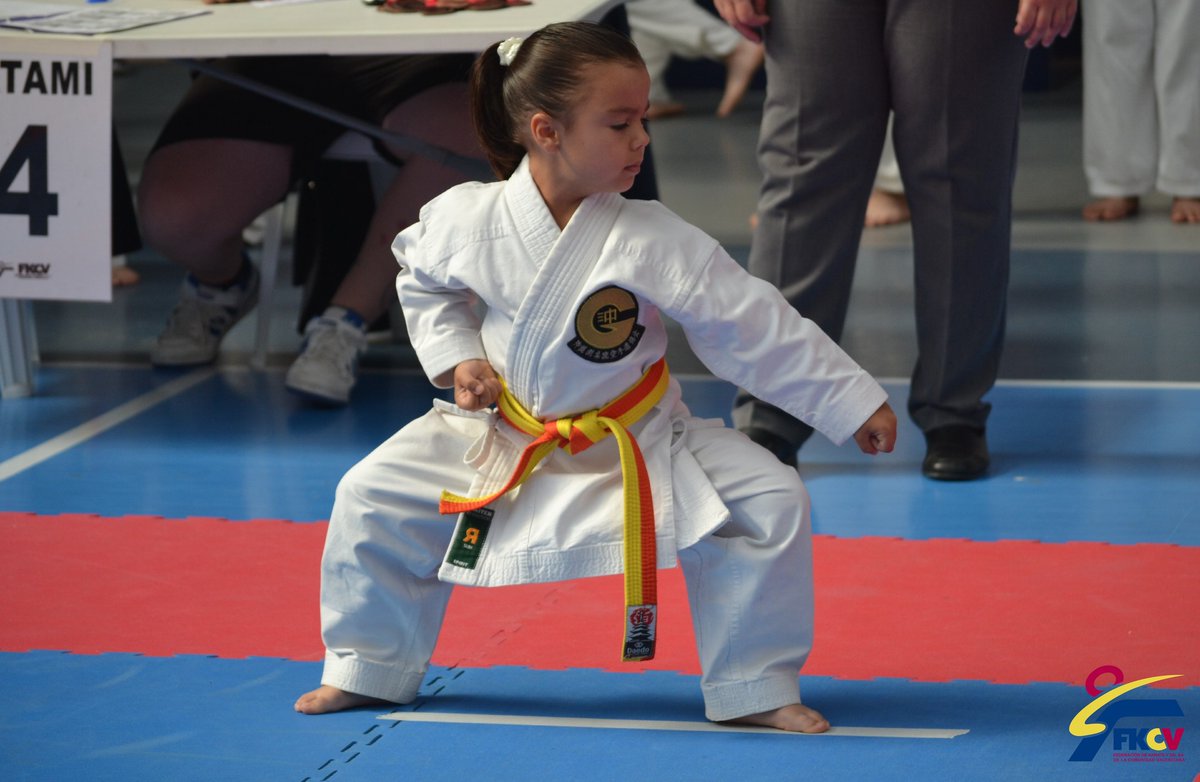 FKCV_karate's tweet photo. 🏆El #𝐓𝐫𝐨𝐟𝐞𝐨𝐏𝐫𝐨𝐦𝐨𝐜𝐢𝐨𝐧 empieza este sábado.

🧥Con 𝟮𝟲 𝗰𝗹𝘂𝗯𝗲𝘀 desplazándose a Benigànim para celebrar el 30ª aniversario del club local 🥋con 𝟐𝟒𝟖 𝐣𝐨́𝐯𝐞𝐧𝐞𝐬 𝐤𝐚𝐫𝐚𝐭𝐞𝐜𝐚𝐬 en una jornada de karate y diversión.

😀¡Nos vemos este finde!

#SomDojo https://t.co/gxF5K1mGzv