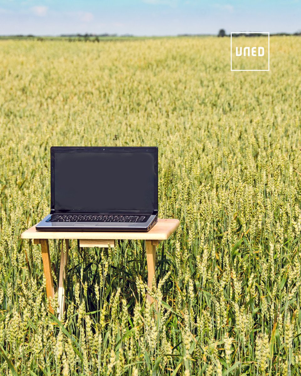 🌾 La UNED lidera la conexión rural

⚠️ Ya está abierta la inscripción a los cursos clave de digitalización del programa Reto Rural Digital.