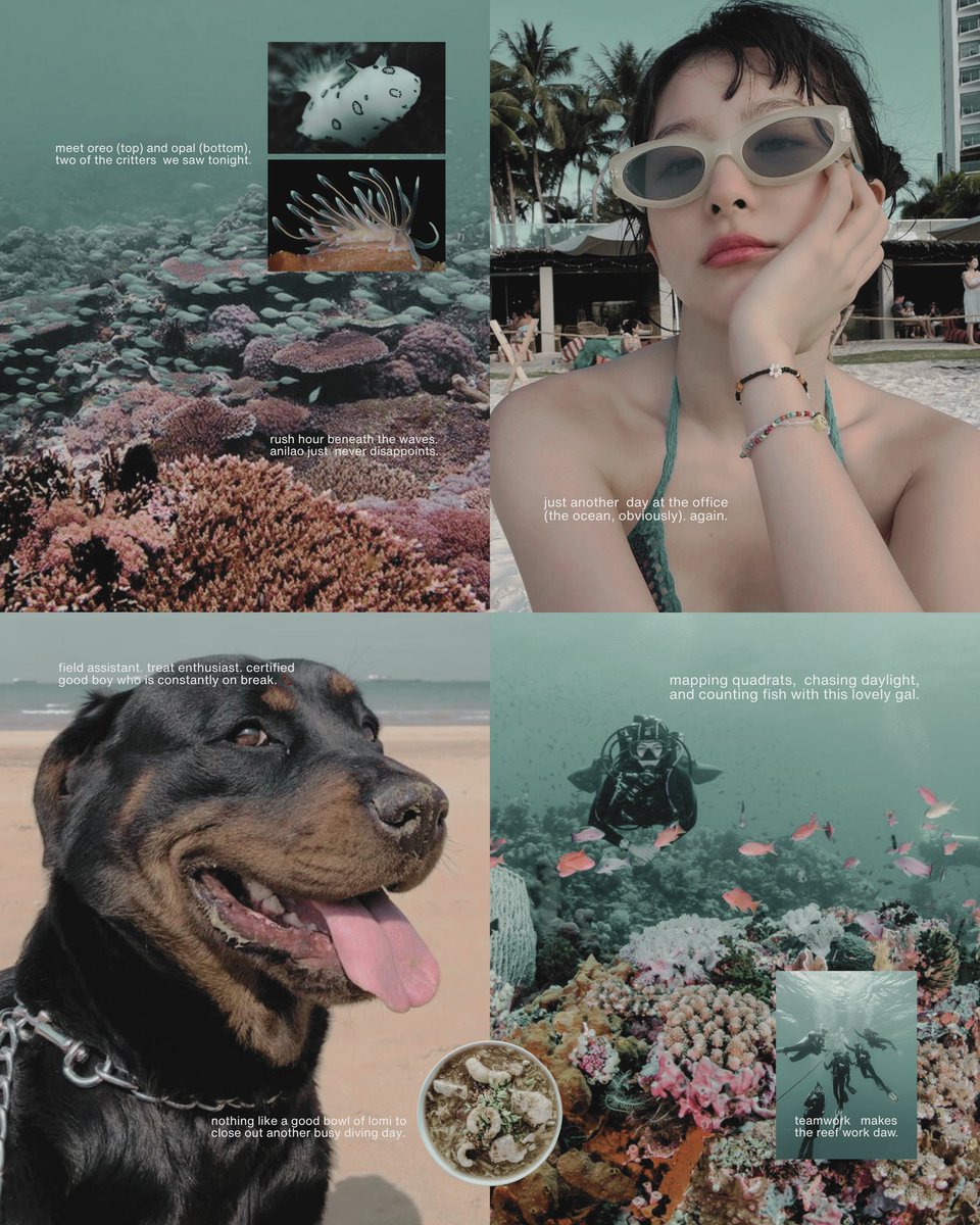 corallithe's tweet image. 111325 ⋮ ASDC, Anilao, Batangas

Quick life update: survived another round of fieldwork, sunburn, and Blue trying to steal my lunch. Still figuring things out, but the sea&apos;s been kind. 🩵