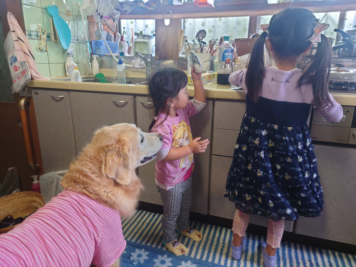 あき (@aki326933847763) / Posts / X