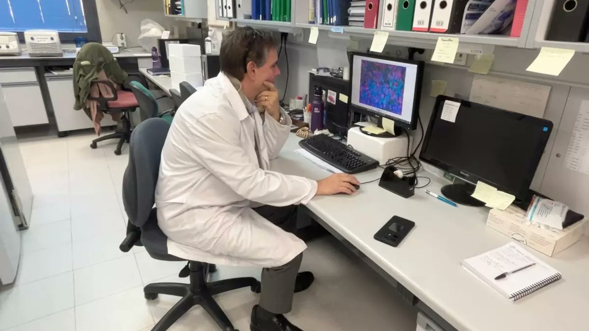 📰 <a href="/LaVanguardia/">La Vanguardia</a> destaca el trabajo del grupo de Benoit Gauthier en CABIMER, que desarrolla una molécula capaz de proteger y regenerar células beta, abriendo nuevas vías terapéuticas contra la diabetes tipo 1.
Más info: lnkd.in/dWVBtHeE

#CABIMER #Investigación #Diabetes