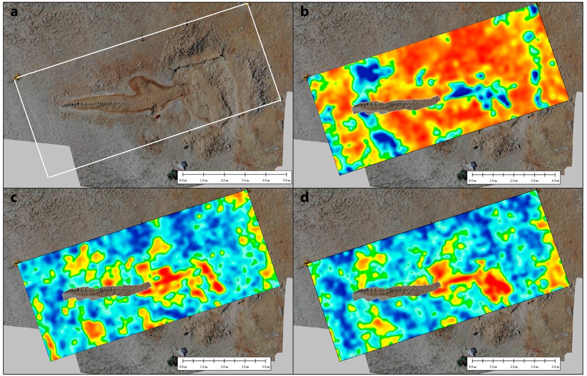RemoteSens_MDPI's tweet image. 👉👉 Detection of Vertebrate Skeletons by #Ground #Penetrating #Radars: An Example from the Ica #Desert Fossil-Lagerstätte

✍️ Antonio Schettino et al.
🔗 brnw.ch/21wXsaH