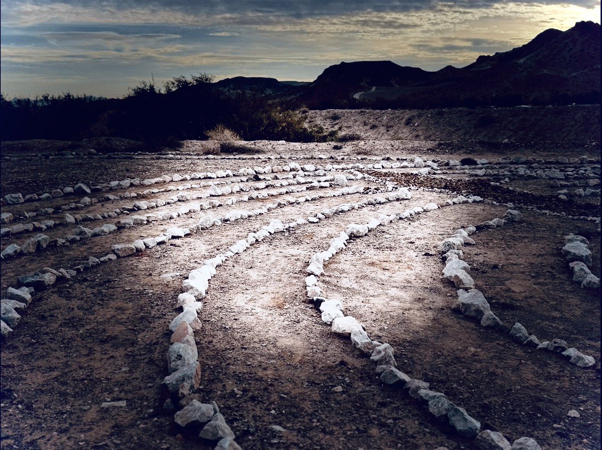 every morning, we’d go for a walk or hike, in the quiet Nevadan desert; 
Together
The past three years a string of wondrous steps became routine; first two [pups]&amp;two [two legged souls], then three pups; yesterday the emptiness, the void was felt. 
Deeply. 
Sadie, we miss you.