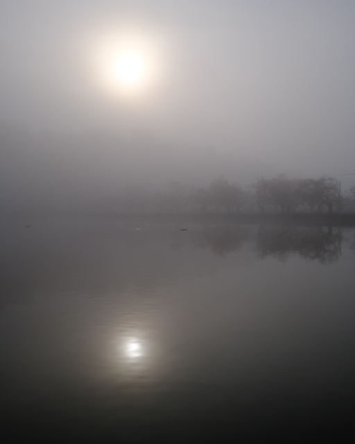 shokai37's tweet image. 仏の道は、
闇の底へ灯を差し出す。
人の苦しみに寄り添い、
涙ごと抱きしめる光。

神の道は、
森に差す日のように沈黙し、
触れず、語らず、
ただ生を澄ませる。

仏は苦を溶かし、
神は命を整える。

慈悲が手を差し伸べるなら、
畏れは心を正しく立たせる。

人は今日も、
ふたつの光のあいだを…