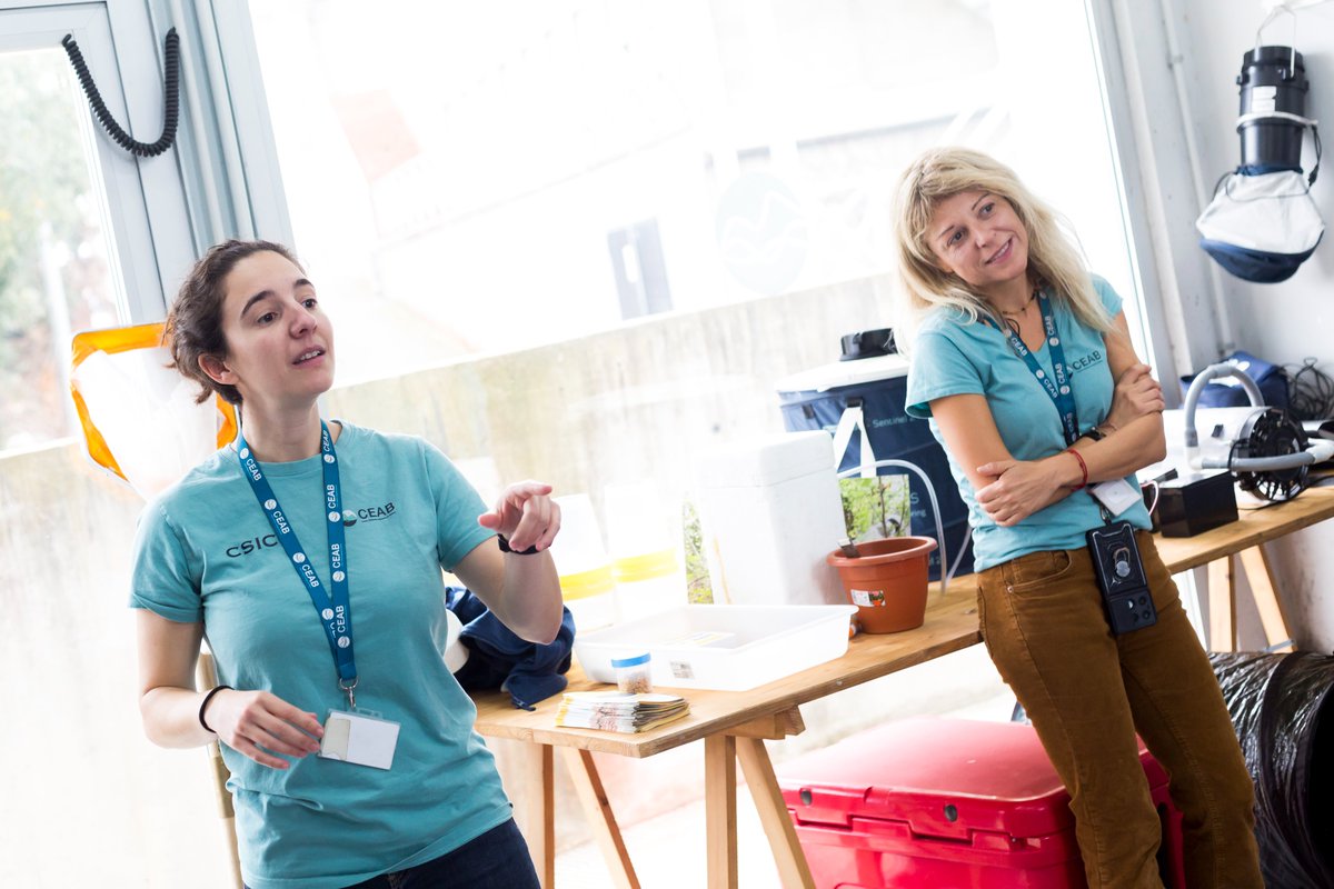 E4Warning HE tweet media