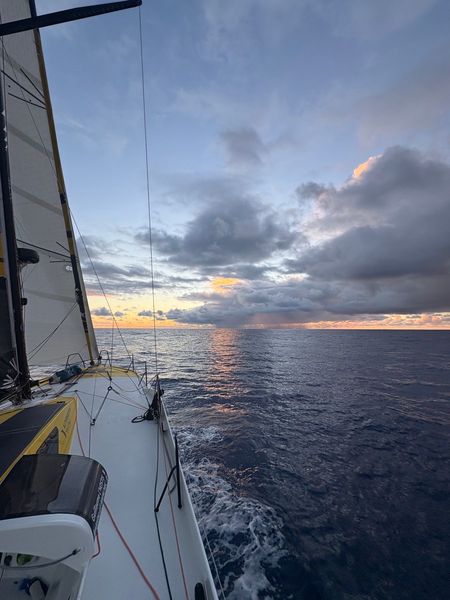 TRANSAT CAFÉ L’OR tweet media