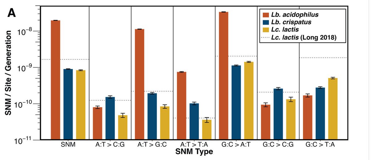 Megan Behringer tweet media