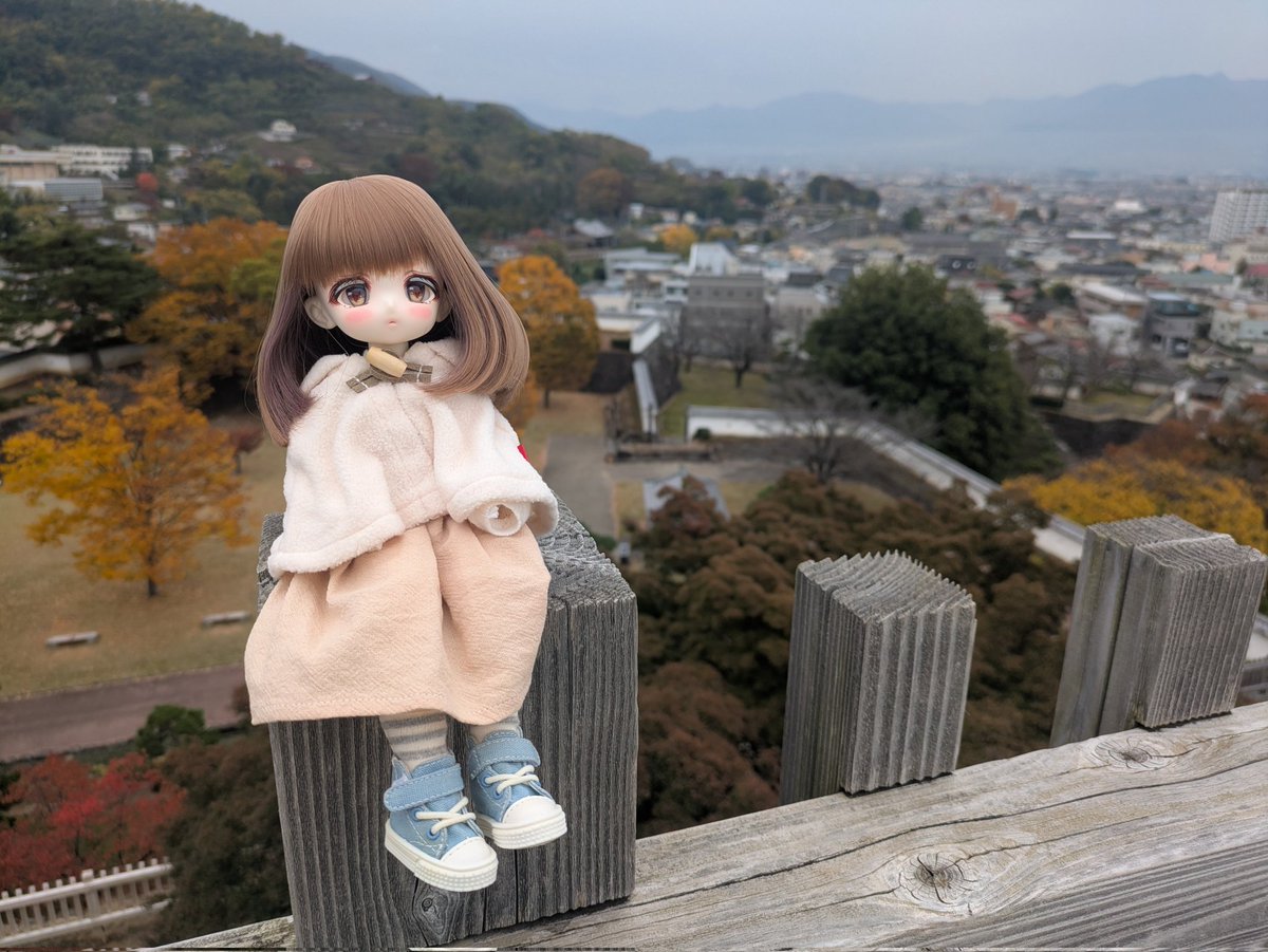 蒸籠蒸し（せいろむし） (@seiromushi_doll) / Posts / X