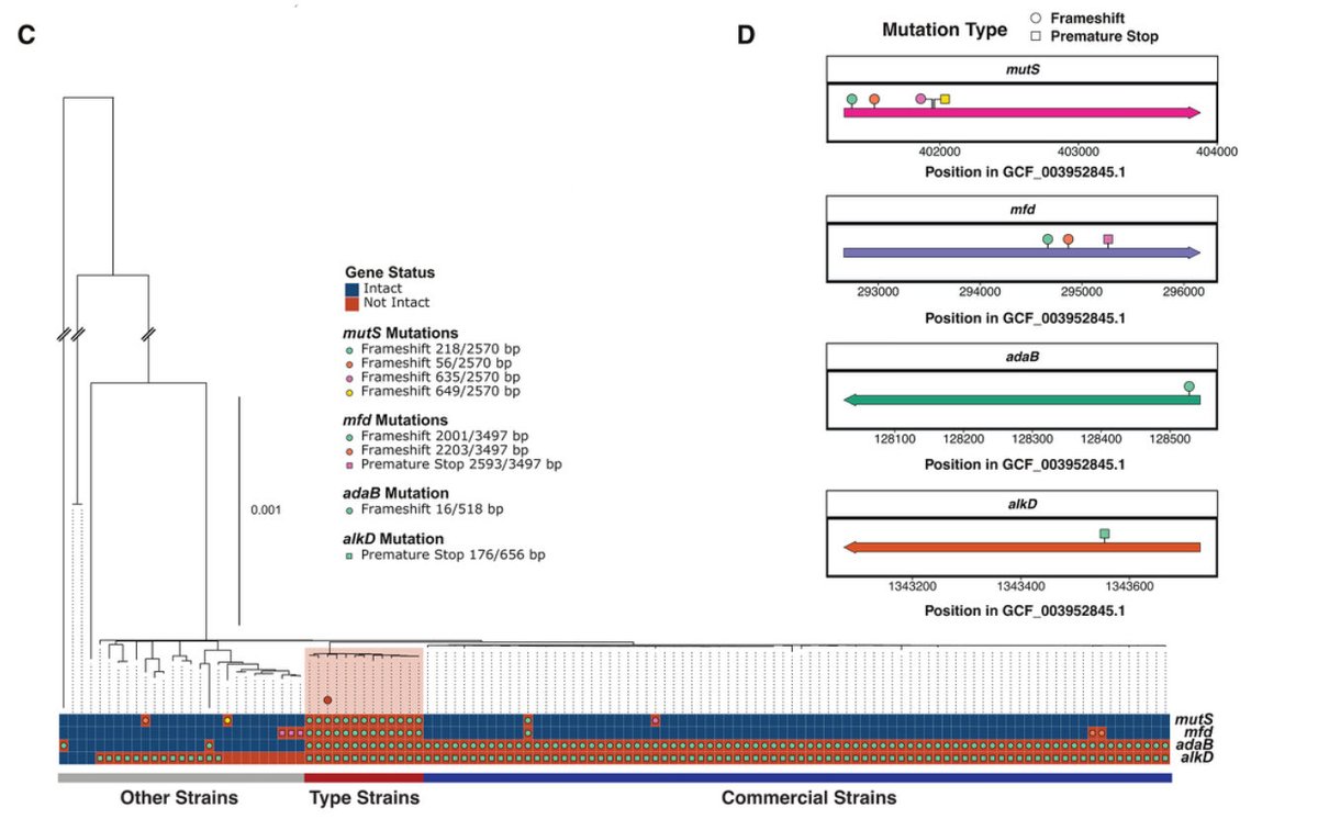 Megan Behringer tweet media