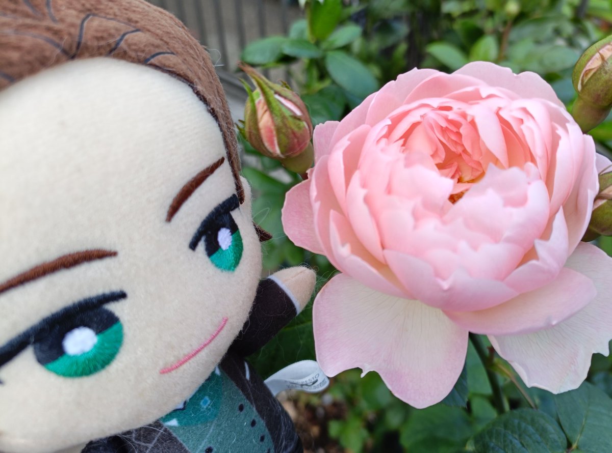 lemon (@lemon01234567) / Posts / X