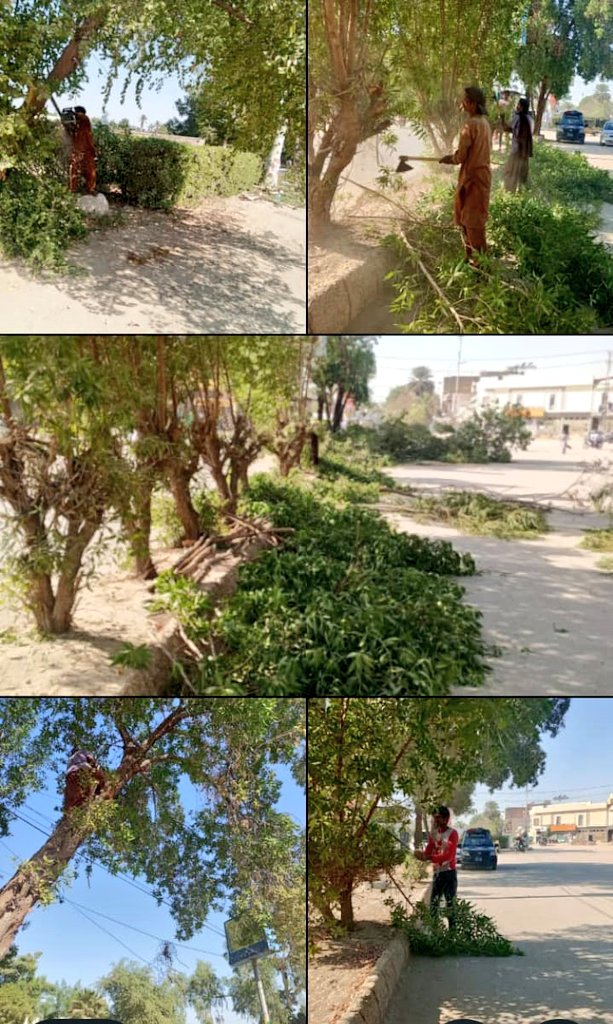MumtazC82707's tweet photo. میئر حیدرآباد محترم @KashifShoroPPP کی ہدایت پر بی سیکشن پولیس اسٹیشن سے بھٹائی اسپتال نمبر 5 لطیف آباد یونٹ 5 اور 6 تک درختوں کی تراش خراش اور گرین بیلٹ کی بحالی و صفائی کا کام آج کامیابی سے مکمل کر لیا گیا 🌿
#HMCWorks #MayorDeliversforaHyderabad
@BBhuttoZardari @jamkhanshoro https://t.co/NldBXdAJFh