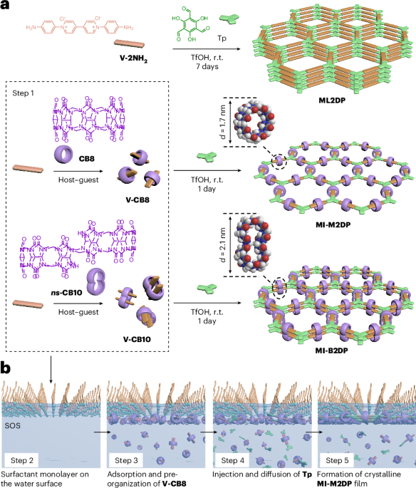 ChemistryNews's tweet photo. Controlled synthesis of monolayer and bilayer two-dimensional polymers https://t.co/pv4hyJLsIs https://t.co/8z0q3iGnsC