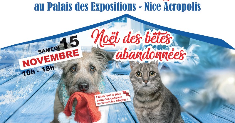 Ce samedi 15 novembre à Nice, ce sont 200 chiens et chats qui seront à l'adoption.

Ils n’attendent qu'une seule chose : un chez eux chez vous. Le Noël des Bêtes Abandonnées, une journée dédiée à l’adoption responsable. 

📍 Rendez-vous à Nice au Palais des Expositions