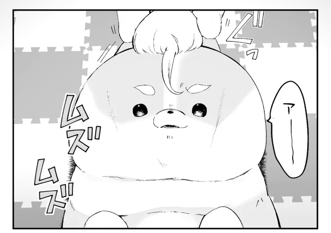 マイ武さん家の🐶
大福にもなれるイッヌ 