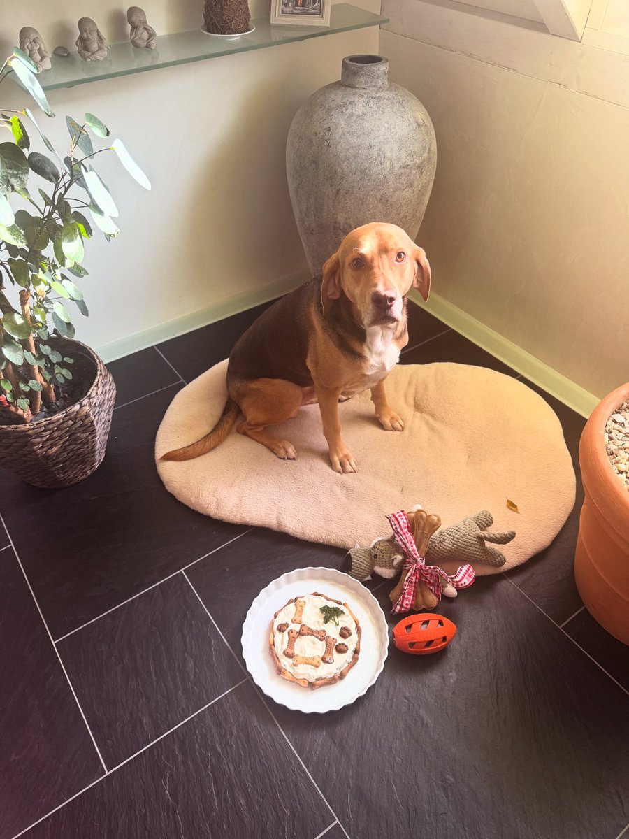 HAPPY 6TH PANCHITO ❤️