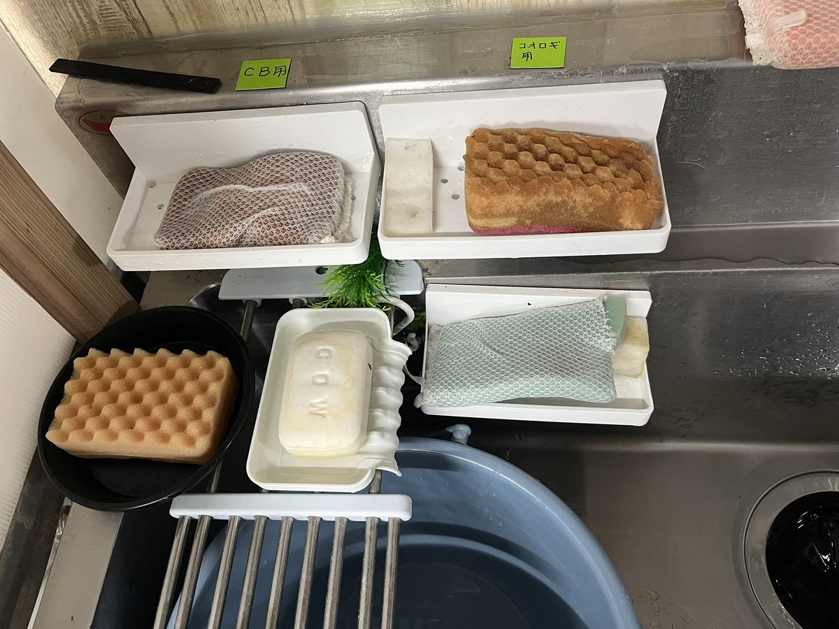 Crazy Geno@カメレオンブリーダー兼輸出業者 (@crazygeno7) / Posts / X