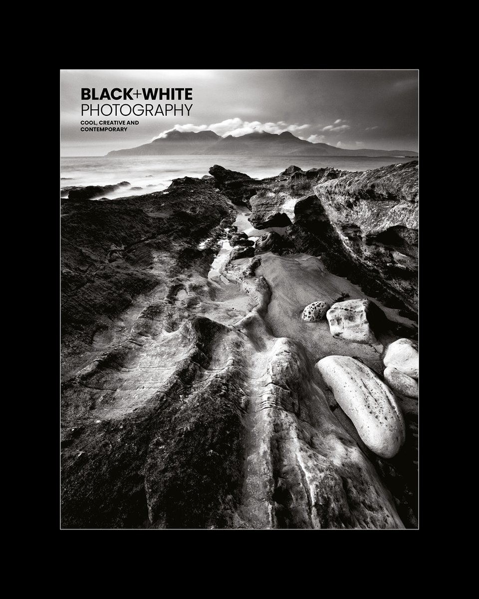 B+W Photography tweet media