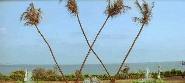 GM, all we need a big W in our lives.

👀