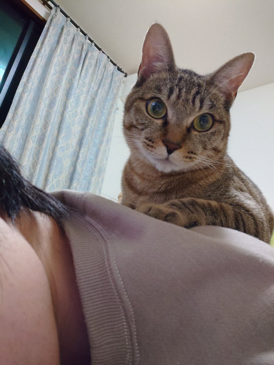 なーさん III (Cover) | Justen x Sena - YouTube