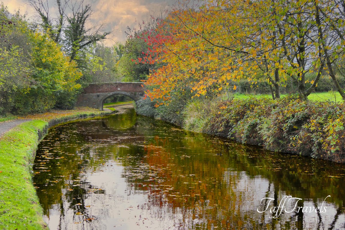 tafftravels's tweet photo. Lovely walk along the #LlangollenCanal from #ChirkTunnel crossing the #ChirkAqueduct (the one I can actually walk across 😁) to The Poachers Pocket  #Chirk #Wrexham #NorthWales #Wales @WrexhamFX @wrexham @VisitNorthWales @visitoswestry @visitwales https://t.co/UNnbjsMJFz