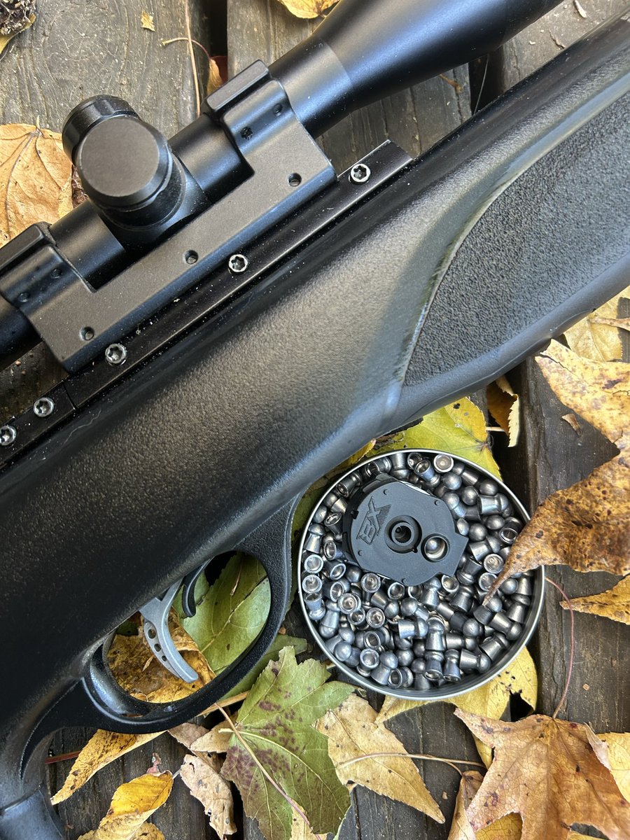 GAMO Swarm Magnum .25 caliber. Hard-hitting small game air rifle with an eight-shot magazine so all you have to do is break the barrel and shoot.