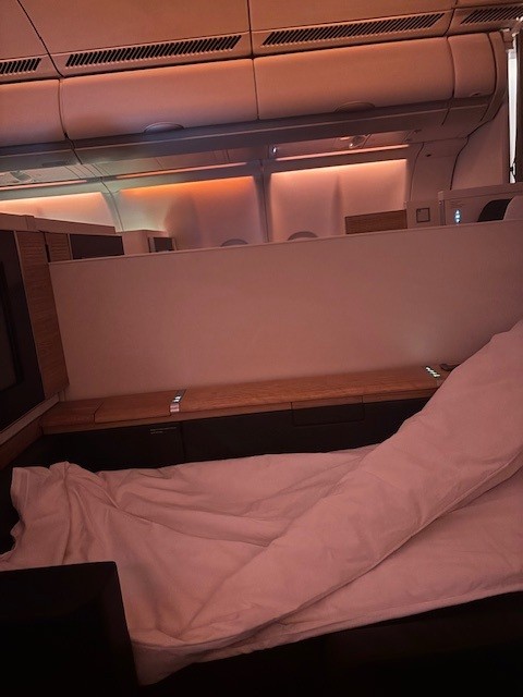 AgneOlsson's tweet photo. Best flight i ever had @FlySWISS will forever be in my memory✈️ https://t.co/wtk72jVrjP