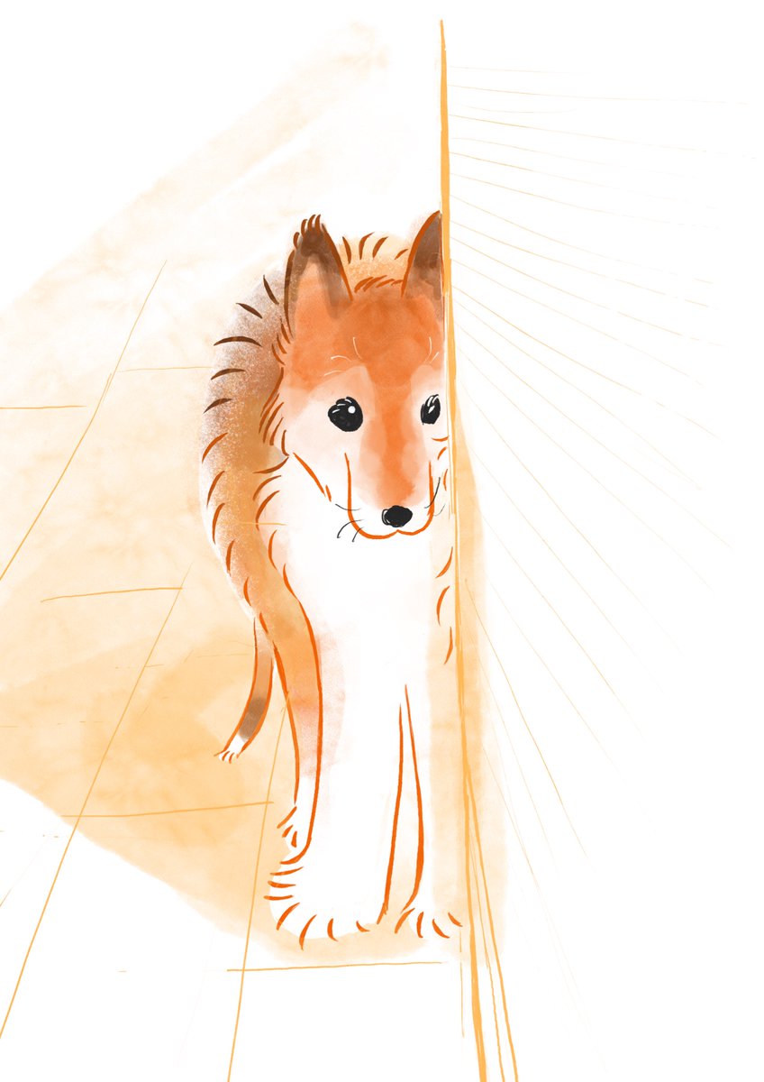 最近の愛犬、バランスが偏るのでよく壁に張り付いてる