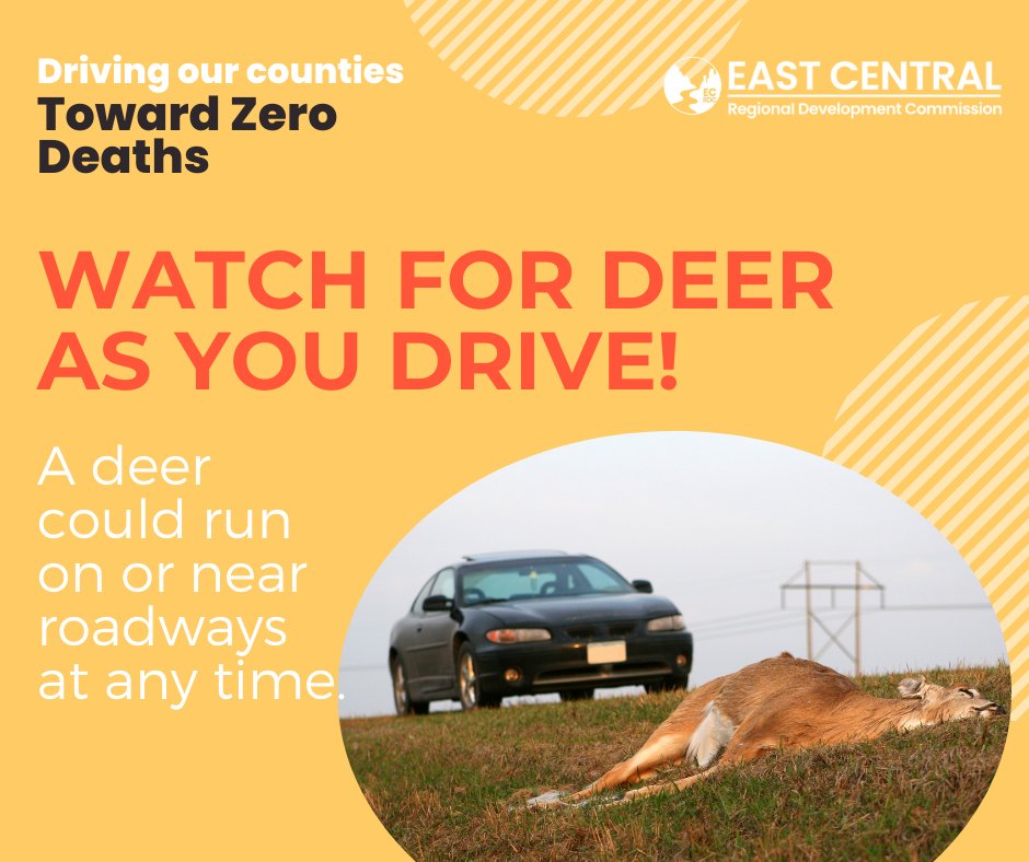 ECRDC's tweet image. Minnesotans have an estimated 40,000 deer-vehicle collisions every year — but only about 2,000 get reported. Most aren’t serious enough for police or insurance claims. Stay alert out there! 

#DriveSafe #MN #DeerSeason