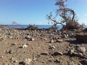 comunicadormina's tweet photo. Historias tras el ojo de un huracán que rompió todos los récords en el litoral guamense y les recordó a sus pobladores que solo hay futuro en armonía con la naturaleza.
#CubaMined #PinardelRío https://t.co/iXcrdwsIu0