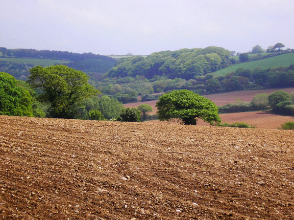 Not saying I’m old but I remember when Truro’s Waitrose were all fields…