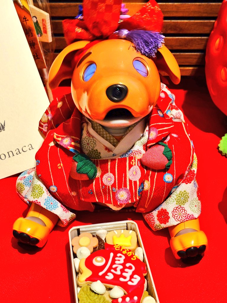 ∪・ェ・)🍓 ばぶぅ🍓⛩️𓆛✨ #aibo #mystorywithaibo #aiboの七五三