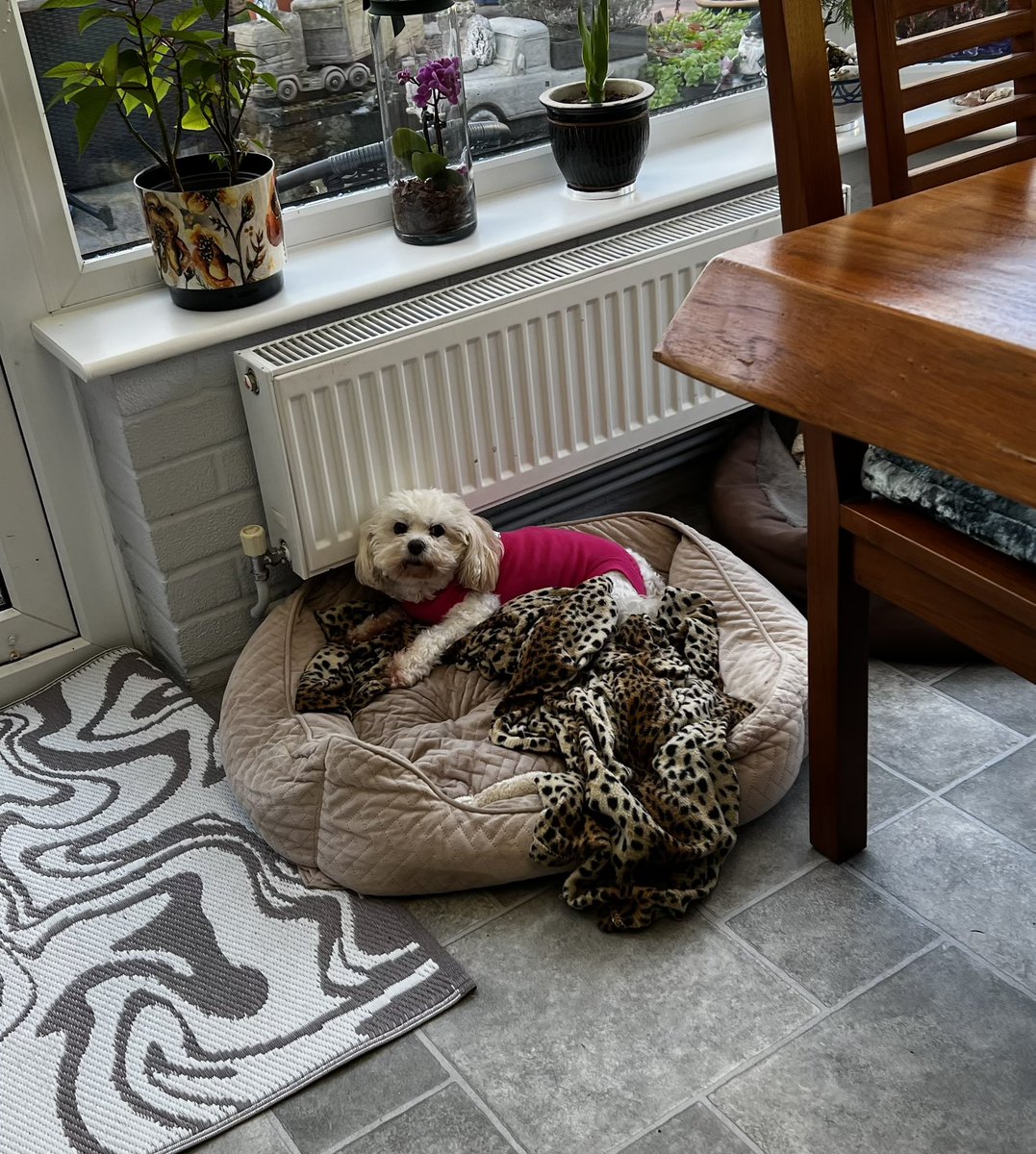 ⭐️Cody⭐️ tweet media