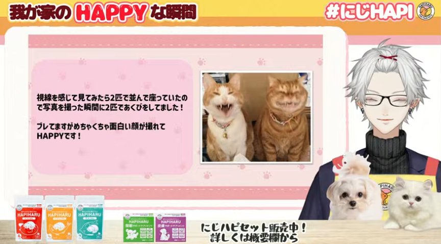 Rin9Moon's tweet photo. #にじHAPI
大阪GRANDOPENカフェではペット用メニューも多数  映え𓃡

我が家のHAPPYな瞬間 かわいい https://t.co/3c5QsbHADc