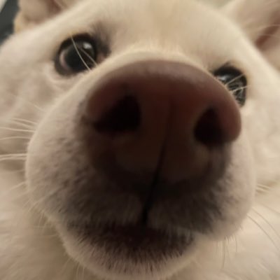 ko_mck_0's tweet photo. #新しいプロフィール画像 https://t.co/tMetvXQCae