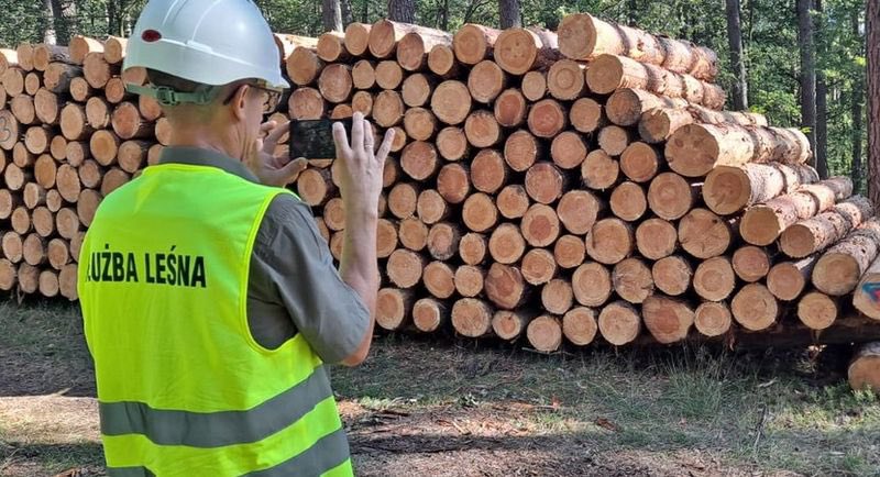 forestmachineoj's tweet photo. Timbeter offers a precise and efficient solution for timber measurement, saving time and ensuring accuracy.
https://t.co/imgBMY3I79 https://t.co/NIr5TspRZv