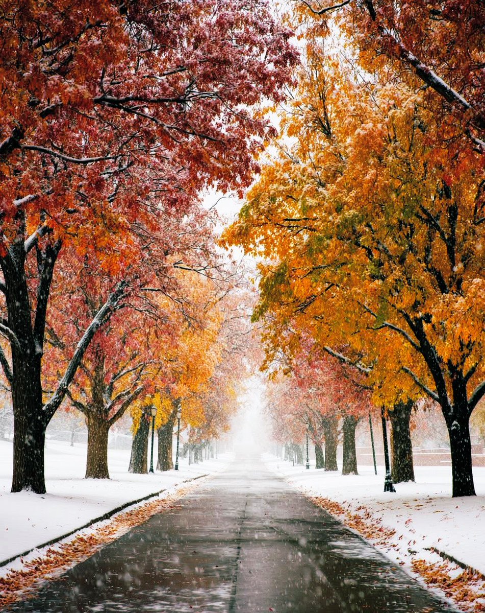 beauty of Earth (@naturelover6023) on Twitter photo 