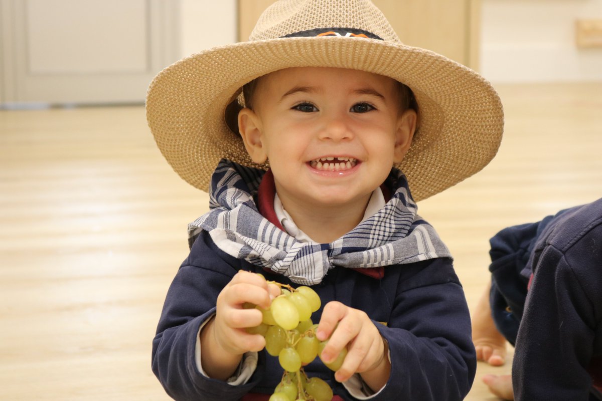 🍇 ¡En Escuela Infantil de Fuenllana se han convertido en vendimiadores! 👩‍🌾👨‍🌾
Nuestros peques han pisado uvas como auténticos expertos, visitado un mini museo de la vendimia y disfrutado de uvas 😋✨.

#FiestaDeLaVendimia #AprenderJugando #ColegioConcertadoBilingüe #Alcorcón