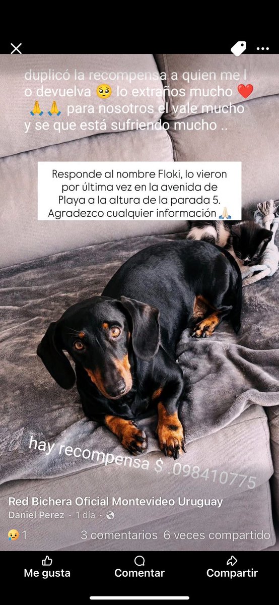 Adriana (@adriana43587622) on Twitter photo 