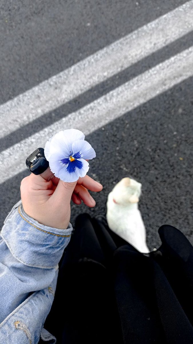 HmryLtyft's tweet image. بين الضلوع العوج بيته ومرباه 
مستوطن وسط الحنايا لحاله ♥️