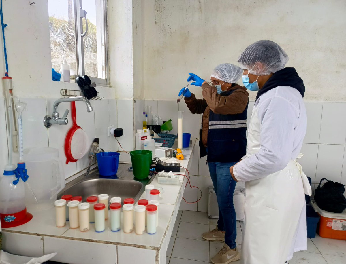 #Bolívar | 🥛✅ Realizamos control de inocuidad a 980 litros de leche cruda en una industria láctea de la comunidad Totoras, cantón San Miguel, garantizando la calidad e inocuidad del producto desde su fase primaria 💪🇪🇨. #ConsumeCalidad