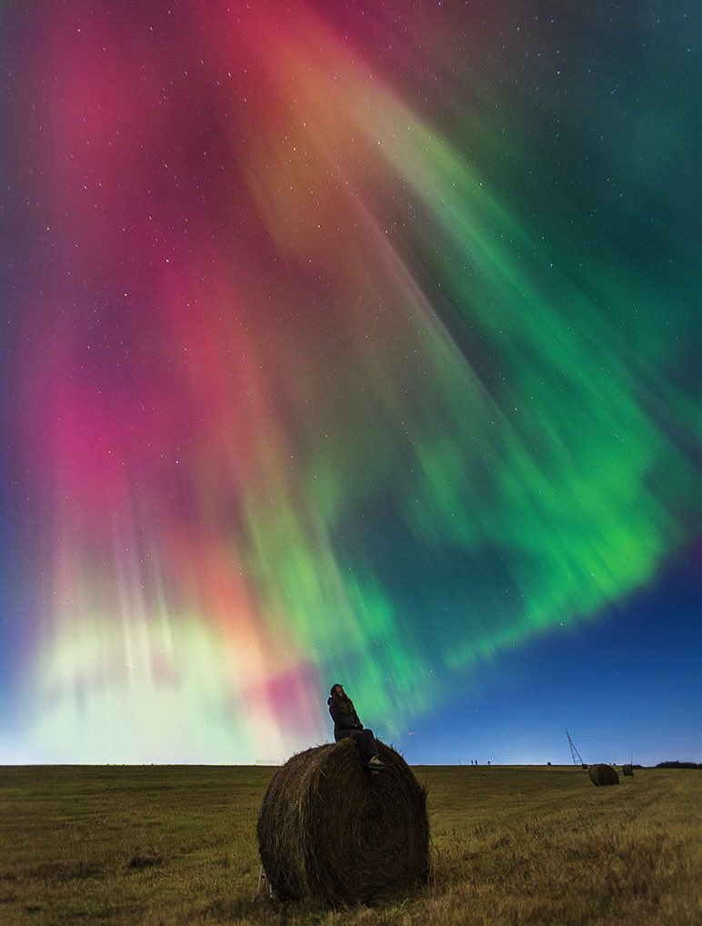 Diane Hammerling tweet media