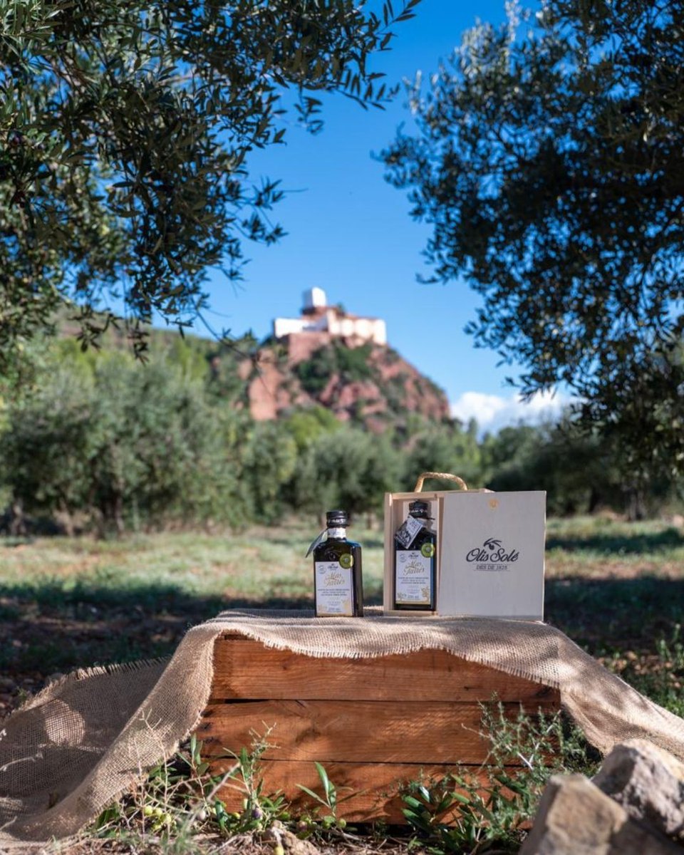 Aquest Nadal, regala Olis Solé 🎁 Els nostres packs són el detall perfecte per compartir l’essència de la terra: olis verge extra, vinagres, olives i patés 🌿 Descobreix també l’edició especial 200 anys del Mas Tarrés, un regal únic de tradició i excel·lència✨