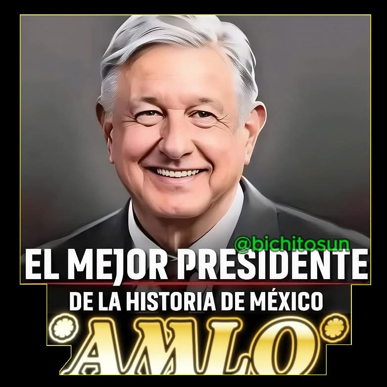 VisionMaya tweet media