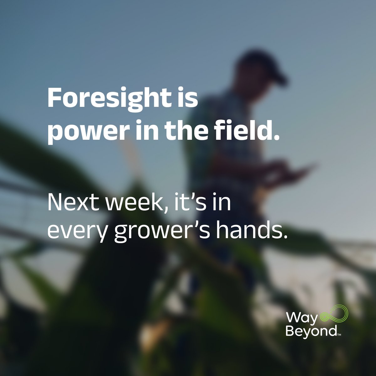 WayBeyond tweet media