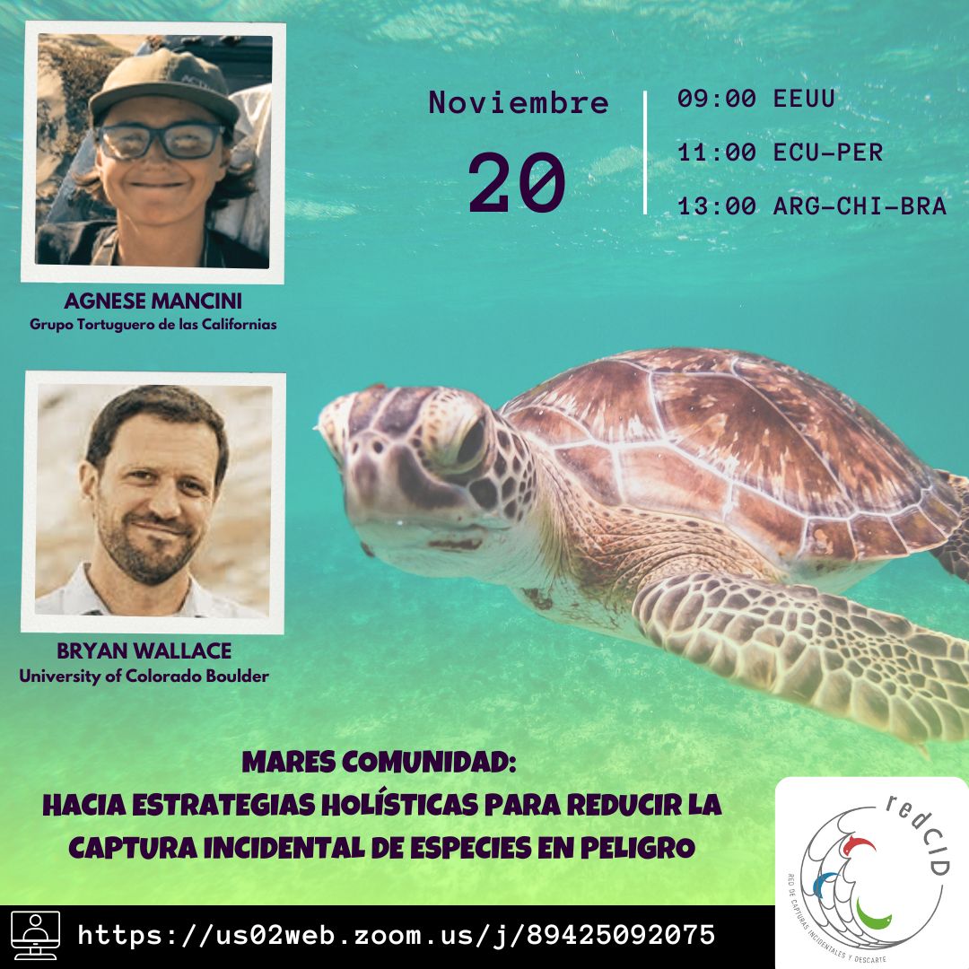 📣  Charla abierta y virtual "Mares Comunidad: Hacia estrategias holísticas para reducir la captura incidental de especies en peligro"
🗓️ 20 de Noviembre
🕑 13hs ARG-CHI-BRA, 11hs ECU-PER, 9hs EEUU.
🌐 us02web.zoom.us/j/89425092075

<a href="/g_tortuguero_ca/">Grupo Tortuguero de las Californias</a>