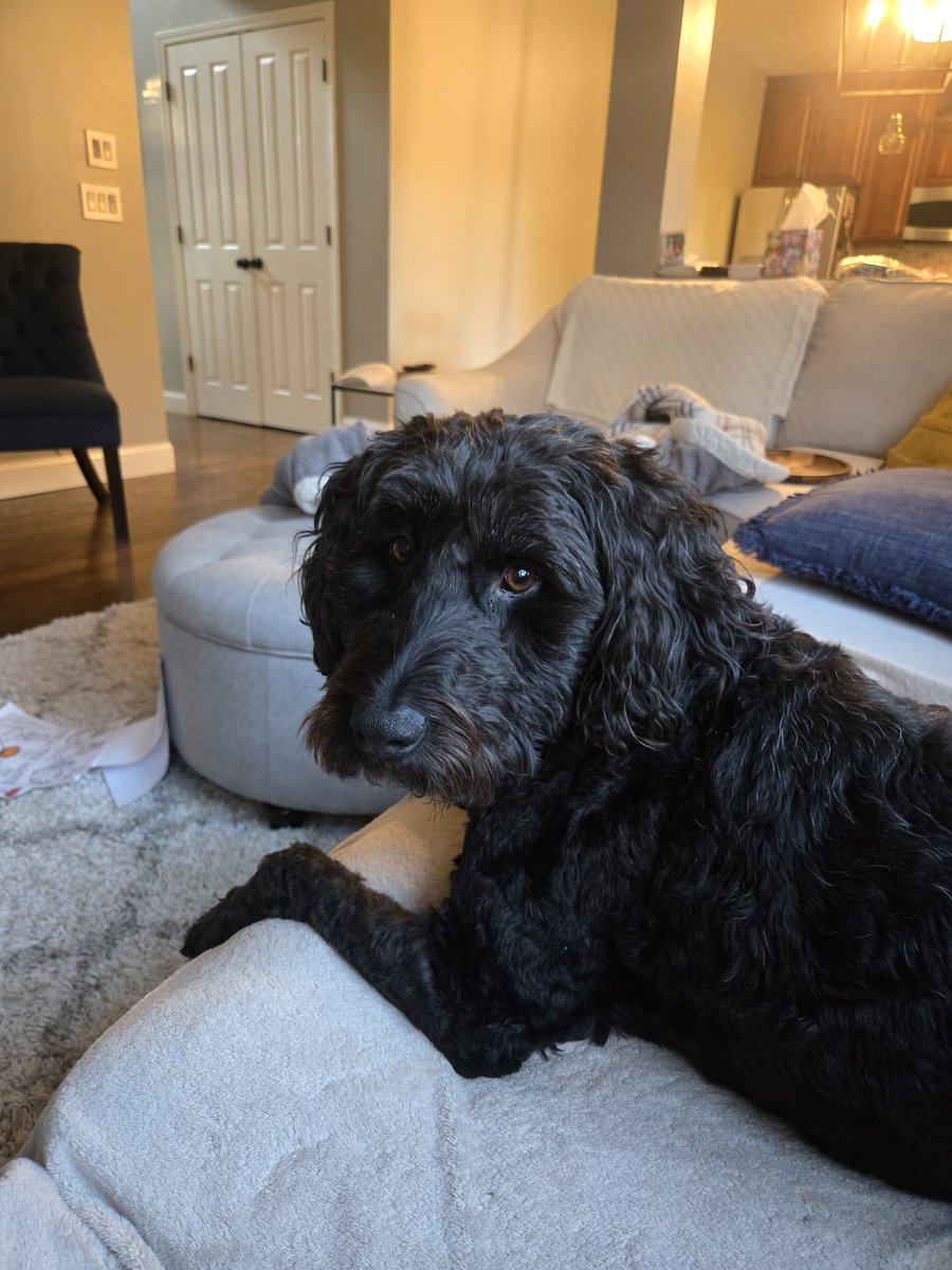 Pat Cruse tweet media