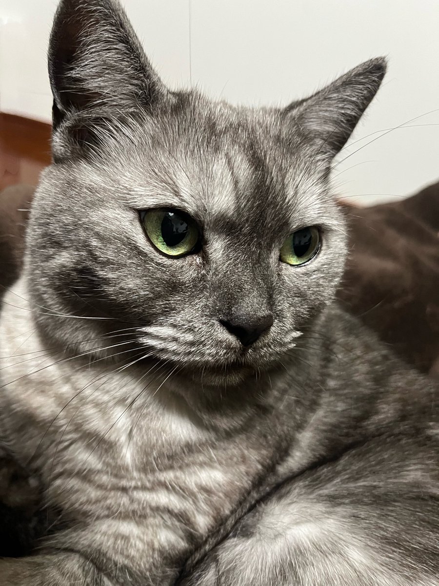 明日はパパとお留守番だって

おやすみなさい🌠