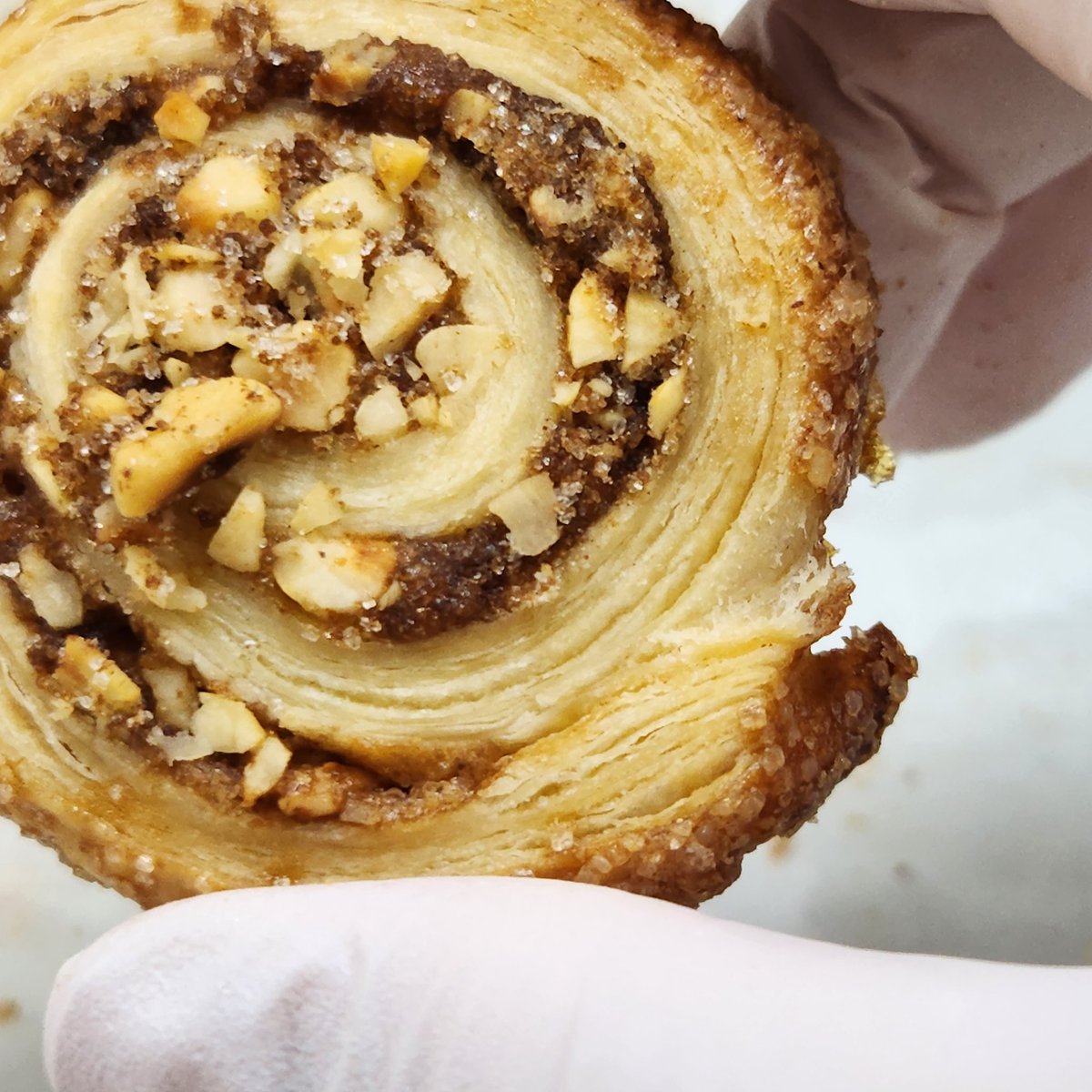 [RT+팔로우]한 분께 랜덤박스 보내드립니다(인증샷필수📸)   

alongtimea90.mysoho.com/product/255853

주문기간[14일12시~16일 15시까지]
출고일[11월20일]

❤️‍🔥플로랑탱 수량3배!
🌿제주말차 수량2배
🍫소금초코 수량3배!

올해 상시판매는 조만간 마무리될 예정입니다🫶 크리스마스 쿠키세트를 준비중에 있습니다.